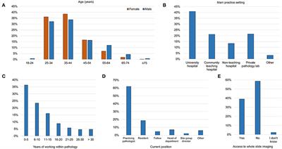 Attitudes Toward Artificial Intelligence Within Dermatopathology: An International Online Survey